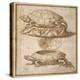 Design for a Lidded Box in the Shape of a Tortoise, Shown Open and Shut-Giulio Romano-Premier Image Canvas