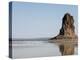 Desolate Landscape of Lac Abbe, Dotted with Limestone Chimneys, Djibouti, Africa-Mcconnell Andrew-Premier Image Canvas