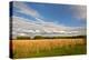 Desoto NWR, Nebraska, USA-Michael Scheufler-Premier Image Canvas