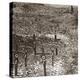 Destroyed battery, Fort Vaux, northern France, c1914-c1918-Unknown-Stretched Canvas