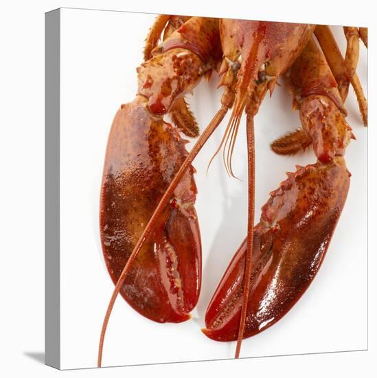 Detail of a Cooked Lobster-Alexander Feig-Premier Image Canvas