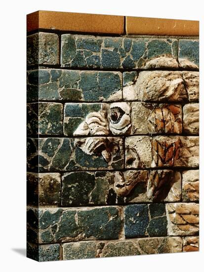 Detail of a lion, reconstruction of the Ishtar Gate, Babylon, Pergamon Museum, Berlin, Germany-Werner Forman-Premier Image Canvas