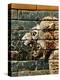 Detail of a lion, reconstruction of the Ishtar Gate, Babylon, Pergamon Museum, Berlin, Germany-Werner Forman-Premier Image Canvas