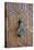 Detail of a Wooden Door and Bronze Knocker-Guy Thouvenin-Premier Image Canvas