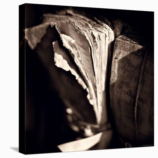 Detail of Antique Pages-Edoardo Pasero-Premier Image Canvas