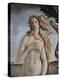 Detail of Birth of Venus-Sandro Botticelli-Premier Image Canvas