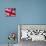 Detail of British Flag-null-Premier Image Canvas displayed on a wall