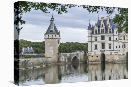 Detail of Chenonceau castle, UNESCO World Heritage Site, Chenonceaux, Indre-et-Loire, Centre, Franc-Francesco Vaninetti-Premier Image Canvas