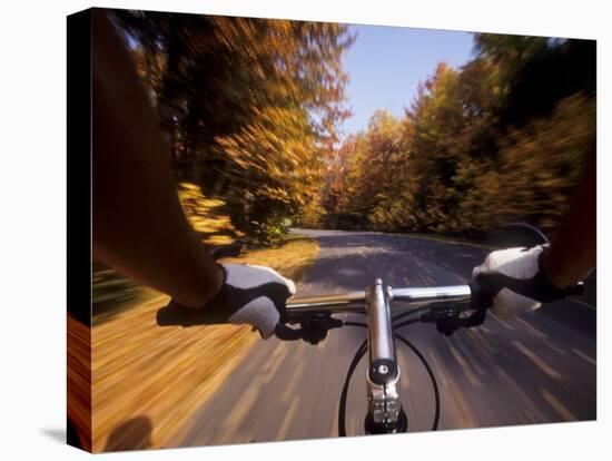 Detail of Cyclist View while Riding on the Roads-null-Premier Image Canvas