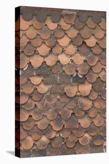 Detail of Domestic Roof Tiles-Natalie Tepper-Stretched Canvas