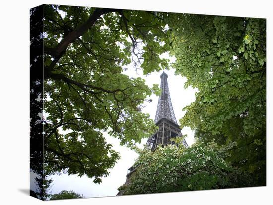 Detail of Eiffel Tower, Paris, France-Jim Zuckerman-Premier Image Canvas