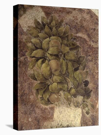 Detail of Fruits and Leaves, from the Last Supper-null-Stretched Canvas