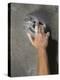 Detail of Hand on Wall Climbing Grip-null-Premier Image Canvas