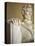 Detail of Lincoln Statue at Lincoln Memorial-Rudy Sulgan-Premier Image Canvas