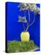 Detail of Potted Plant Against Blue Wall-Stephen Studd-Premier Image Canvas