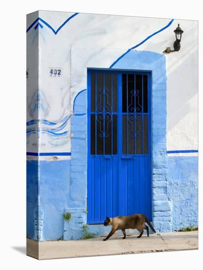 Detail of Siamese Cat in Doorway with Wrought Iron Cover, Puerto Vallarta, Mexico-Nancy & Steve Ross-Premier Image Canvas