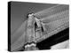 Detail of the Brooklyn Bridge-Alfred Eisenstaedt-Premier Image Canvas