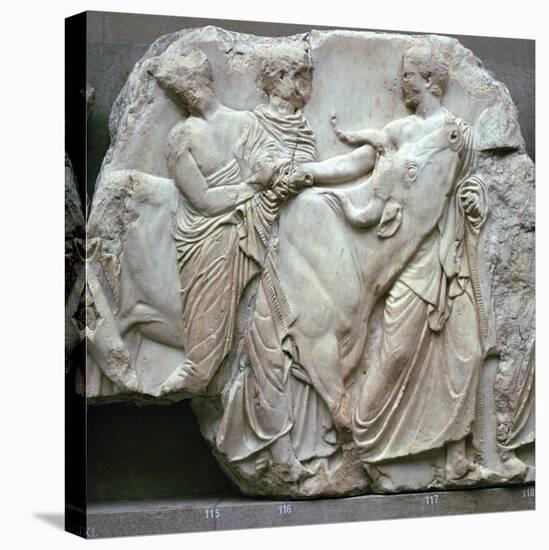 Detail of the Elgin Marbles, 5th century BC-Phidias-Premier Image Canvas