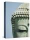 Detail of the Face of the Great Buddha of Kamakura-null-Premier Image Canvas