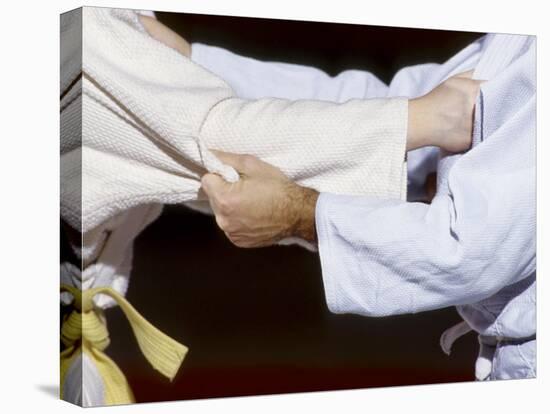 Detail of the Hands of Judo Competitors in Action-null-Premier Image Canvas