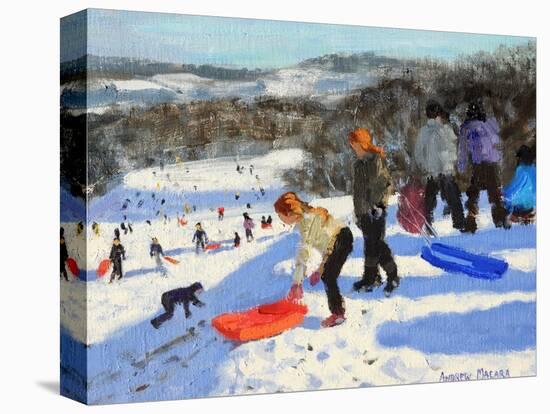 Detail of the Red Sledge, Allestree Park, Derby, 2016-Andrew Macara-Premier Image Canvas