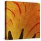 Detail of Tulip in Garden in Fuquay Varina, North Carolina-Melissa Southern-Premier Image Canvas