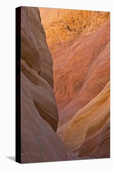 Detail, Pink Canyon, Valley of Fire State Park, Nevada, USA-Michel Hersen-Premier Image Canvas