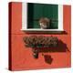 Detail: Window with Green Shutters-Mike Burton-Premier Image Canvas