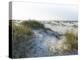 Detailed Wide Angle Shot of Pristine White Sand Dunes and Native Shoreline Plants in Pensacola Flor-forestpath-Premier Image Canvas