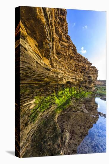 Details and Reflection of the Cliffside, San Diego, Ca-Andrew Shoemaker-Premier Image Canvas