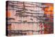 Details of rust and paint on metal.-Zandria Muench Beraldo-Premier Image Canvas