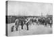 Detraining cattle, LNWR depot, York Road, London, c1903 (1903)-Unknown-Premier Image Canvas