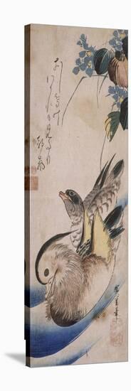 Deux canards nageant-Ando Hiroshige-Premier Image Canvas