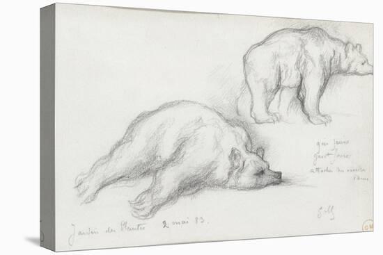 Deux études d'ours-Gustave Moreau-Premier Image Canvas