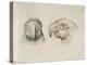 Deux t?s de perroquets-Charles Le Brun-Premier Image Canvas