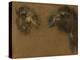 Deux têtes de dromadaires-Pieter Boel-Premier Image Canvas