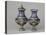 Deux vases balustre de forme Louis XV-null-Premier Image Canvas