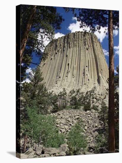 Devil's Tower, Devil's Tower National Monument, Wyoming, United States of America, North America-James Emmerson-Premier Image Canvas