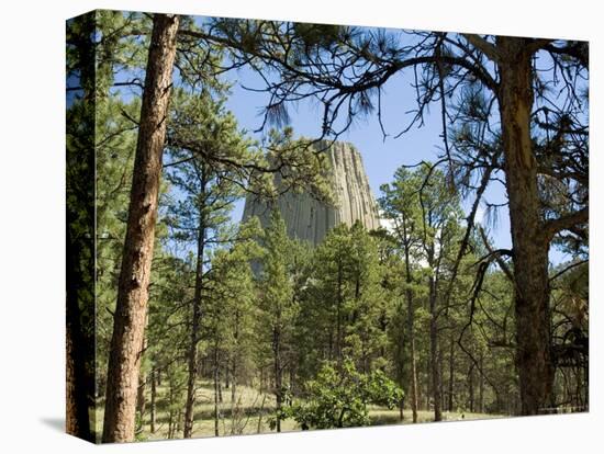 Devil's Tower National Monument, Wyoming, USA-Ethel Davies-Premier Image Canvas