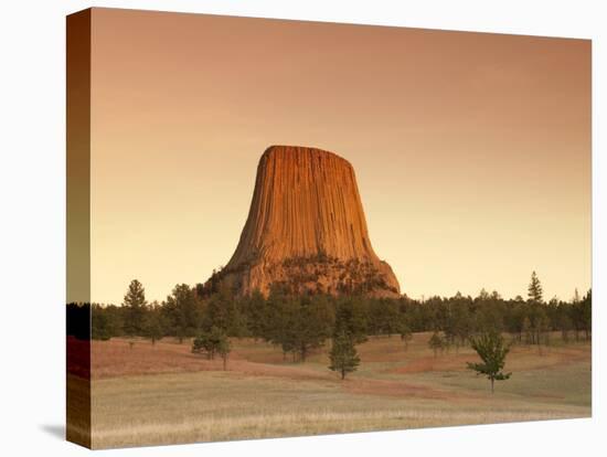 Devil's Tower National Monument, Wyoming, USA-Michele Falzone-Premier Image Canvas