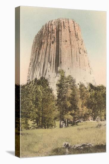 Devil's Tower, Wyoming-null-Stretched Canvas