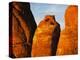 Devils Garden Sandstone Monuments-James Randklev-Premier Image Canvas