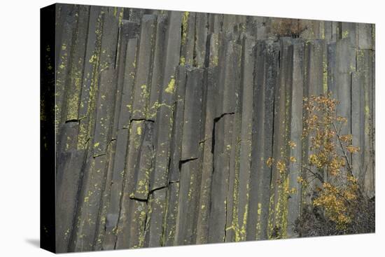 Devils Postpile, National Monument, Mammoth Mountain, Mammoth Lakes, California, USA-Gerry Reynolds-Premier Image Canvas