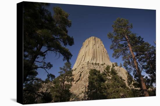 Devils Tower, Devils Tower National Monument, Wyoming, United States of America, North America-Colin Brynn-Premier Image Canvas