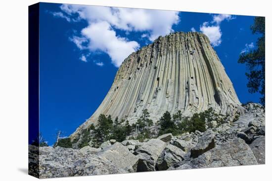 Devils Tower National Monument, Wyoming, United States of America, North America-Michael Runkel-Premier Image Canvas