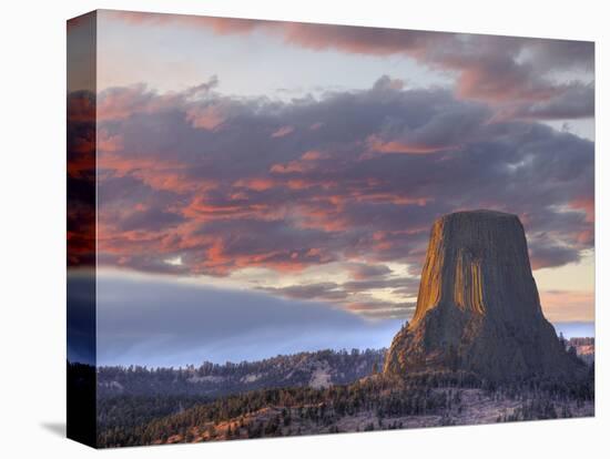 Devils Tower National Monument, Wyoming, USA-Jamie & Judy Wild-Premier Image Canvas