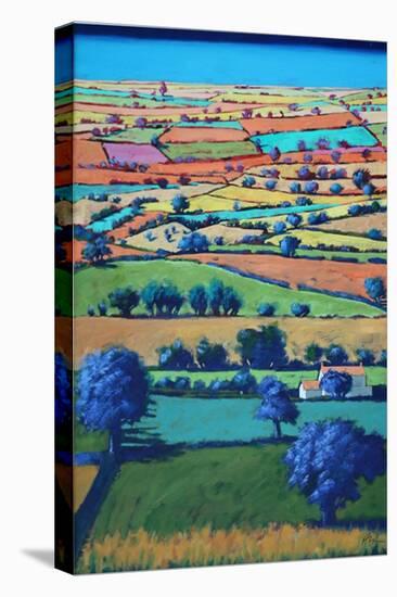 Devon II (Acrylic on Board)-Paul Powis-Premier Image Canvas