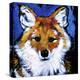 Dhole-null-Stretched Canvas