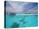 Dhoni and Deserted Island, Maldives, Indian Ocean, Asia-Sakis Papadopoulos-Premier Image Canvas