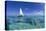 Dhow on Clear Seas-Paul Souders-Premier Image Canvas